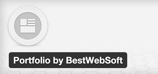 portfolio by best websoft